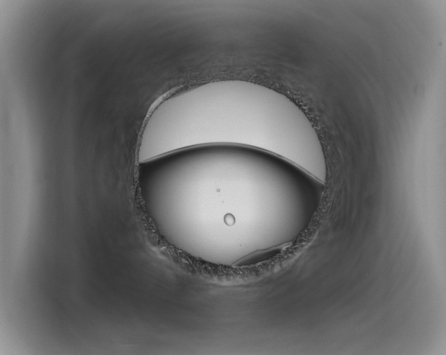 X0000115520144200911061031
