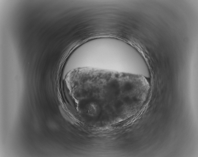X0000115520145200911061030