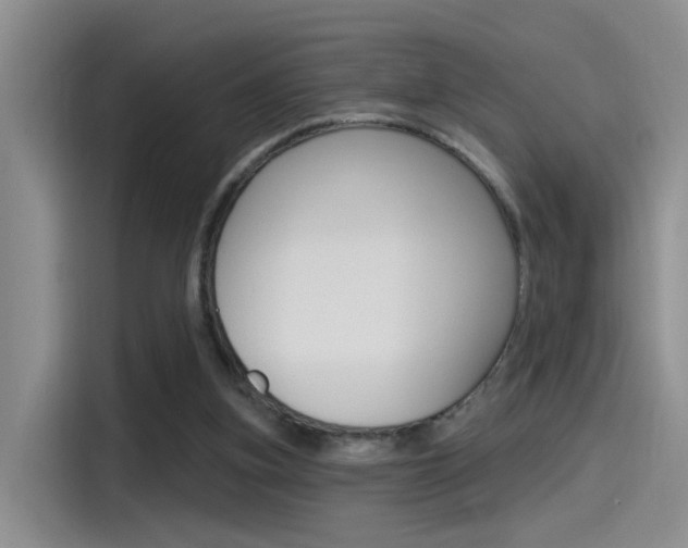 X0000115520155200911061030