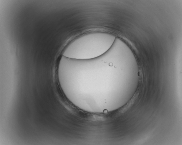 X0000115520159200911061030