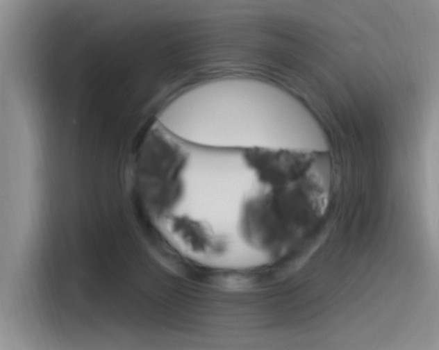 X0000115520165200911061030