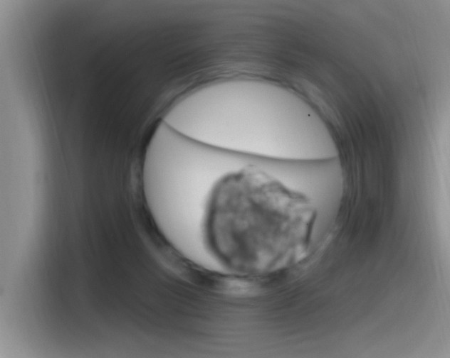 X0000115520167200911061030