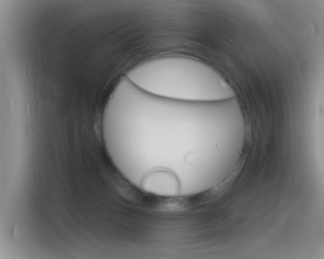 X0000115520175200911061030