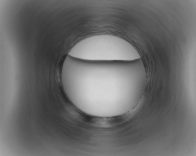 X0000115520182200911061030