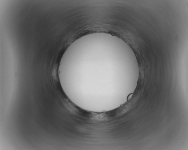 X0000115520185200911061030