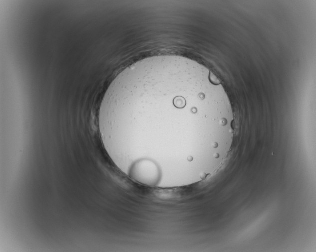 X0000115520187200911061030