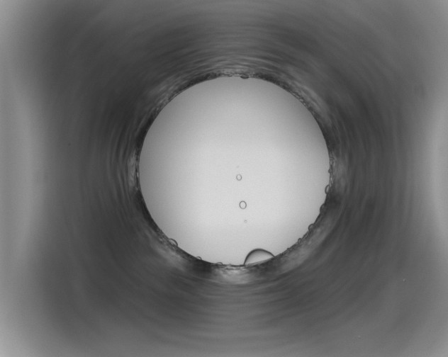 X0000115520189200911061030