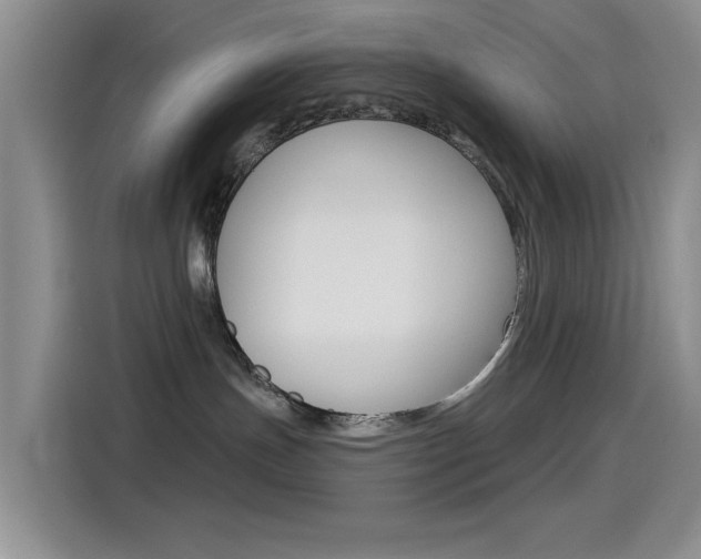 X0000115520191200911061030