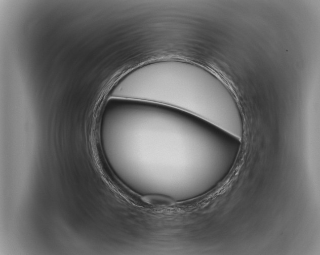 X0000115520193200911061030