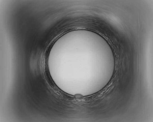 X0000115520194200911061030