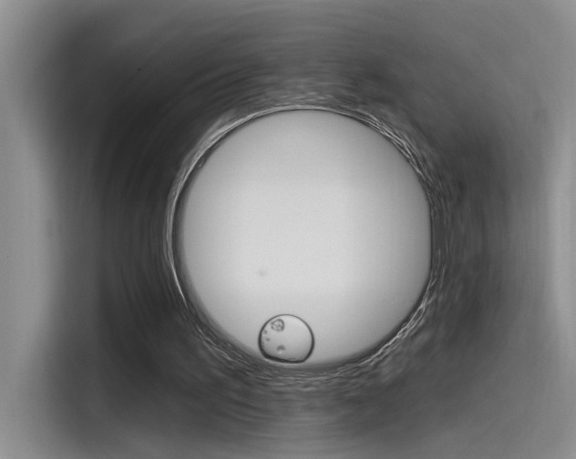 X0000115520195200911061030