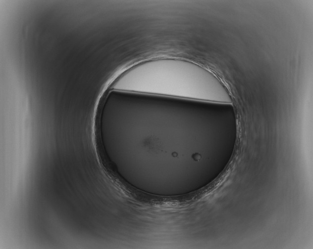 X0000115520196200911061030