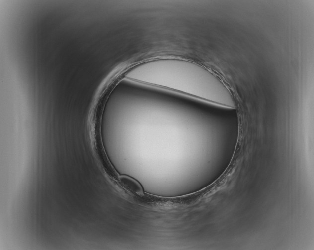 X0000115520197200911061030