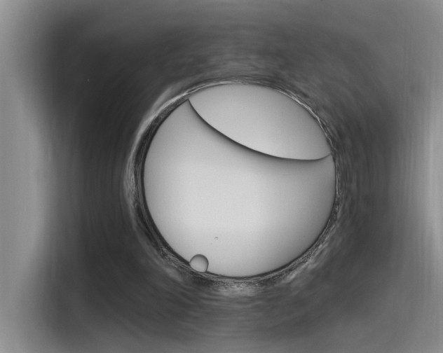 X0000115520198200911061030