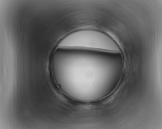 X0000115520201200911061030