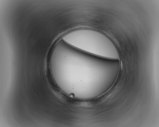 X0000115520204200911061030