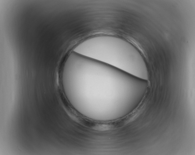 X0000115520205200911061030