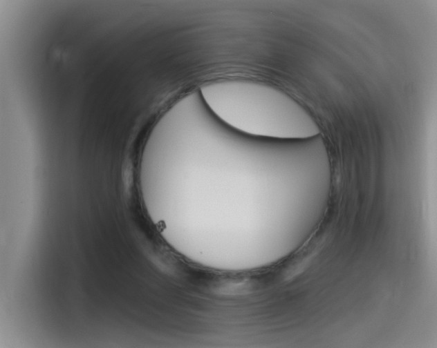 X0000115520206200911061030