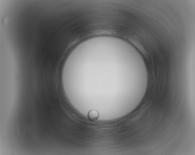 X0000115520207200911061030