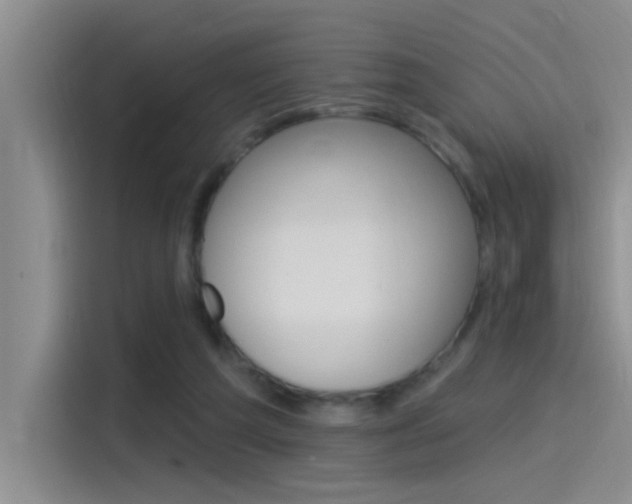 X0000115520209200911061030