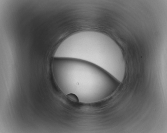 X0000115520211200911061030