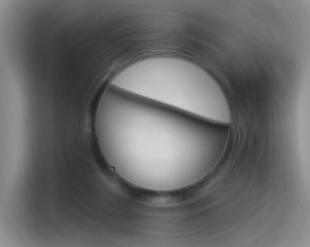 X0000115520212200911061030