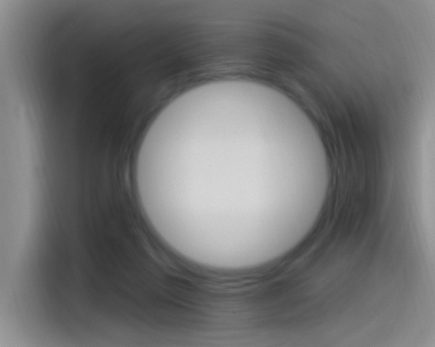 X0000115520213200911061030