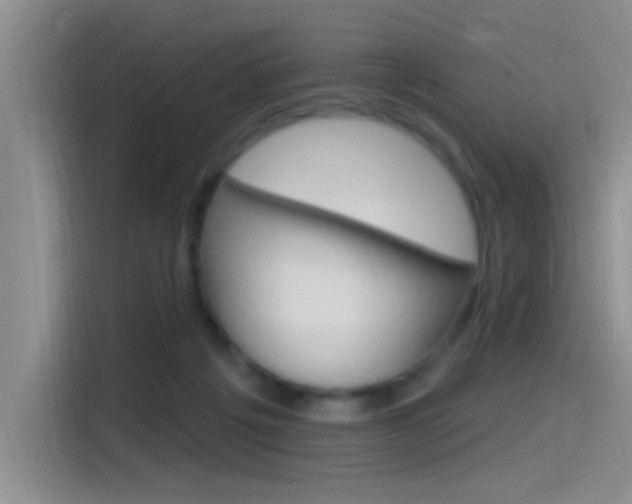 X0000115520217200911061030