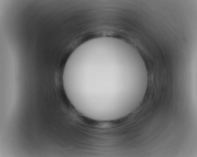 X0000115520218200911061030