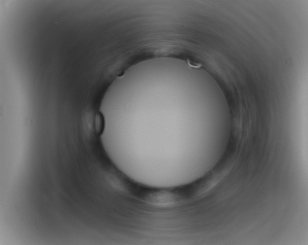X0000115520219200911061030