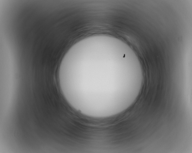 X0000115520221200911061030