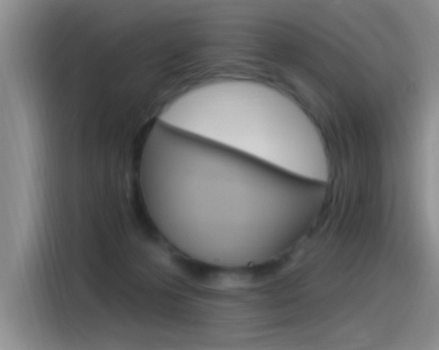 X0000115520223200911061029