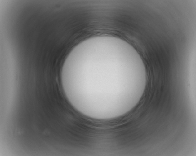 X0000115520225200911061029