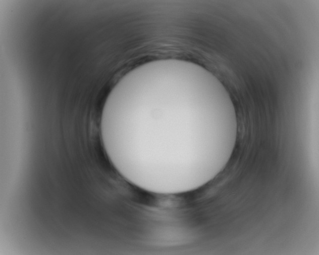 X0000115520226200911061029