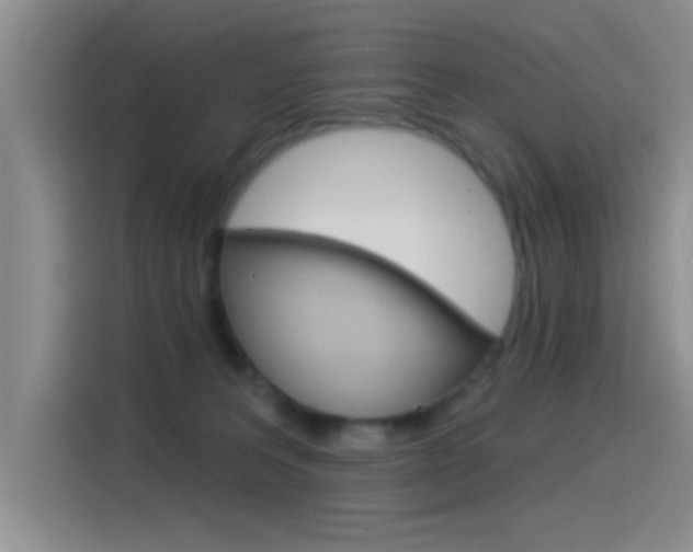 X0000115520227200911061029