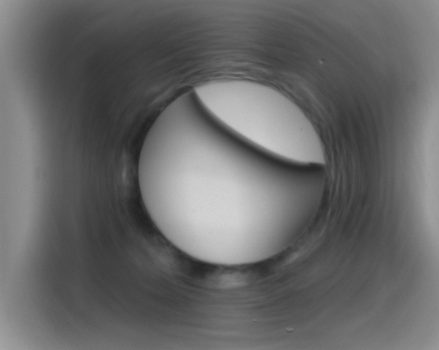 X0000115520228200911061029