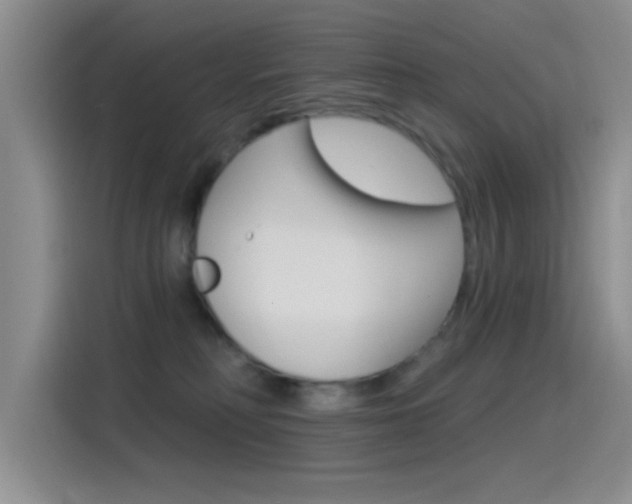 X0000115520230200911061029