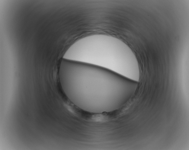 X0000115520231200911061029