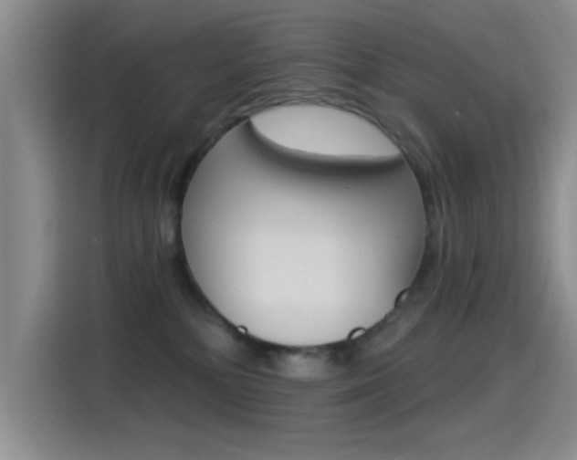 X0000115520232200911061029