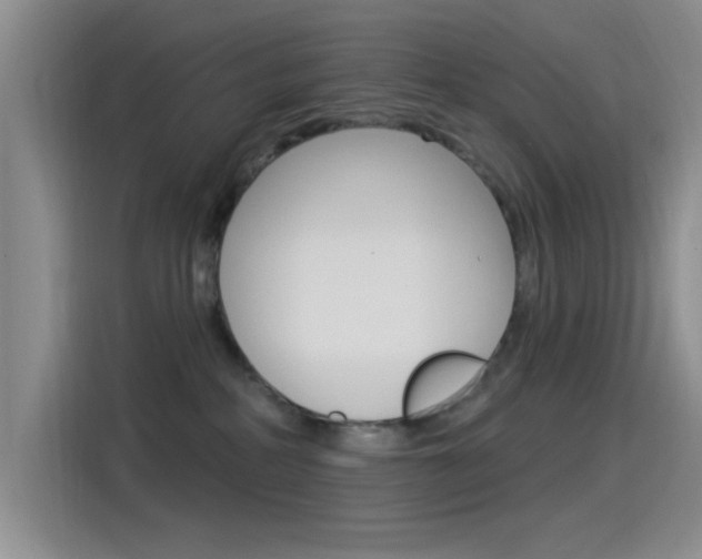 X0000115520234200911061029