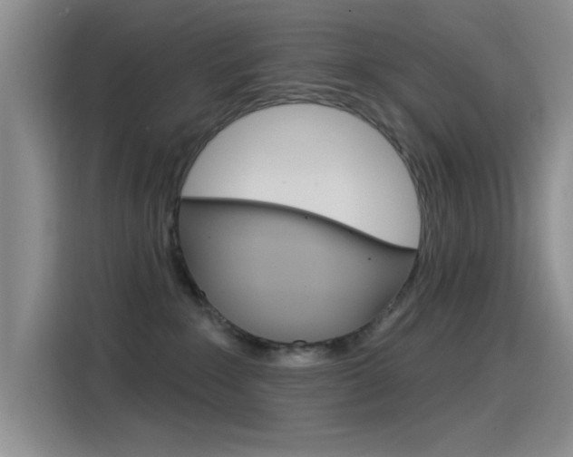 X0000115520235200911061029