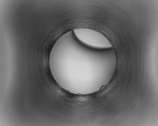 X0000115520236200911061029