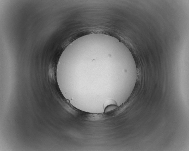 X0000115520238200911061029