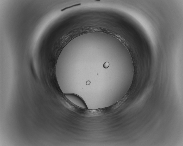 X0000115520239200911061029