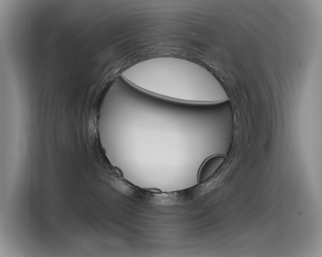 X0000115520240200911061029
