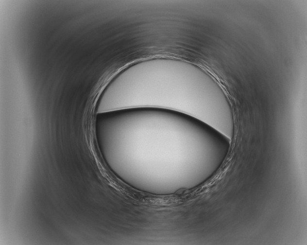X0000115520241200911061029