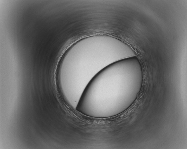 X0000115520242200911061029
