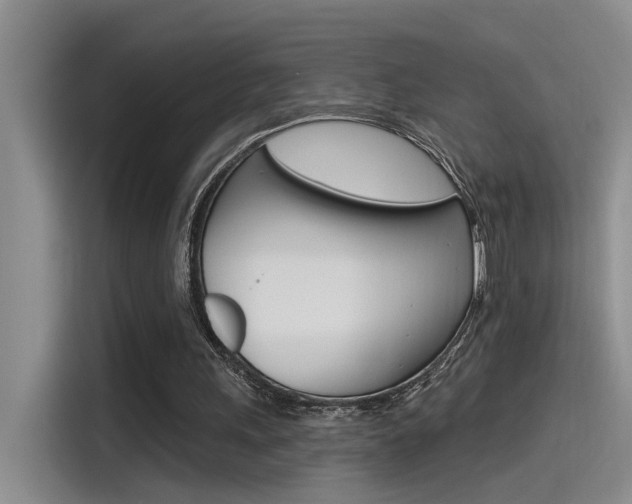 X0000115520243200911061029