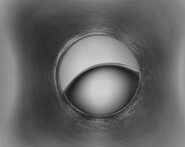 X0000115520244200911061029