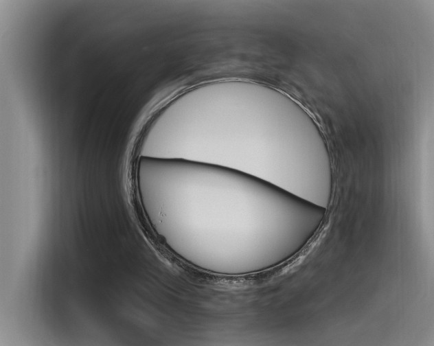 X0000115520245200911061029